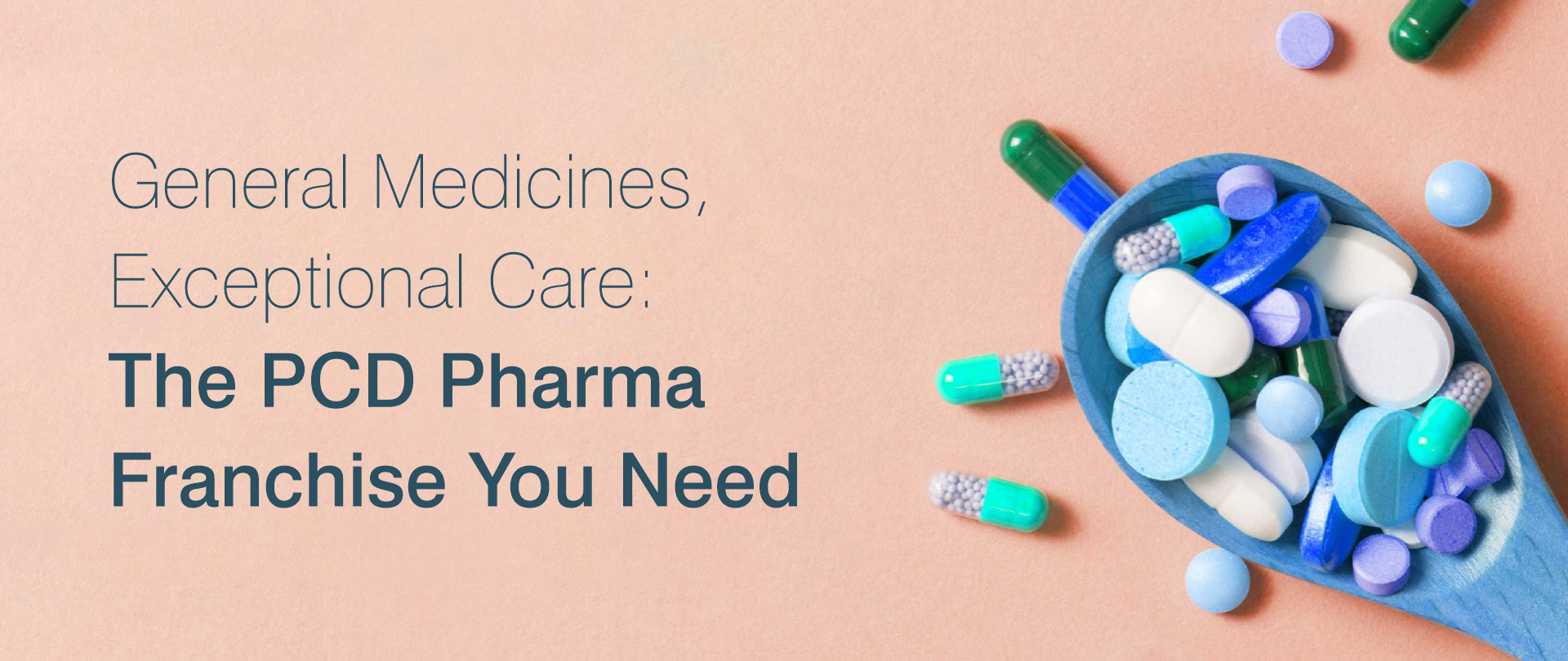 PCD Pharma Franchise for General Medicines in India