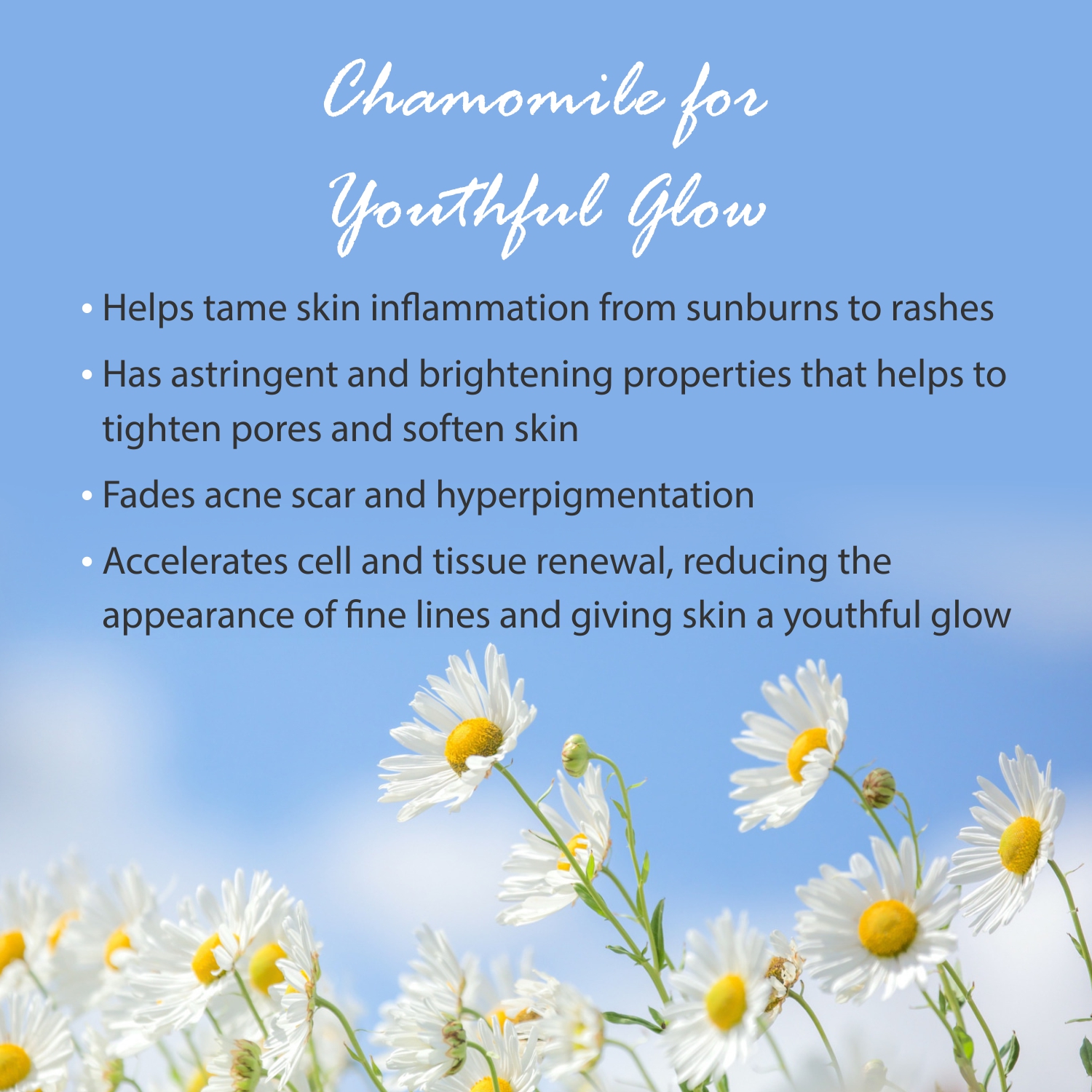 Pearldew Natural Chamomile Bathing Bar - Image 4